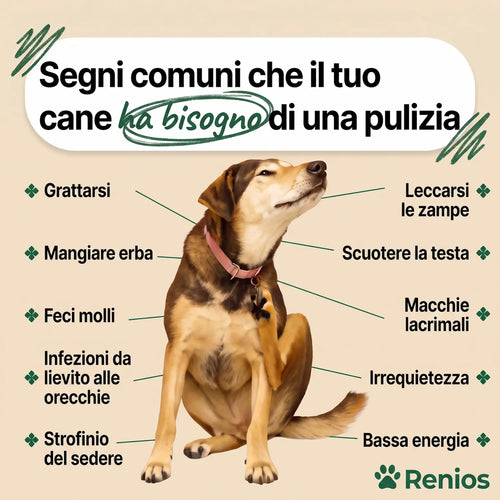 Renios Gocce Anti Parassita