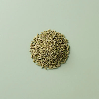 Semi di Finocchio